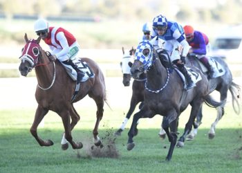 74. Ankara Koşusu’nda zafere Etsuko ulaştı