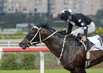 16/07/2025 İstanbul Altılı Ganyan Tahminleri-FLY BY ME