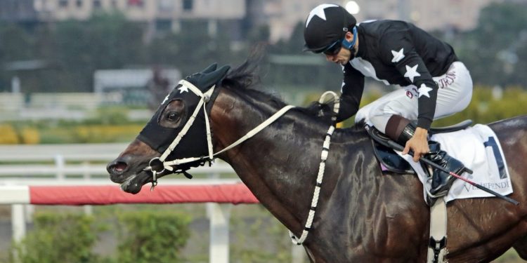 16/07/2025 İstanbul Altılı Ganyan Tahminleri-FLY BY ME