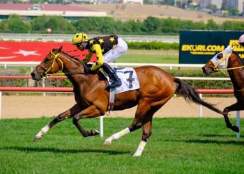 Haftanın Değerlendirmesi- FLY BY ME SORDU HALİL KÖSE YANITLADI