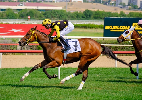 Haftanın Değerlendirmesi- FLY BY ME SORDU HALİL KÖSE YANITLADI